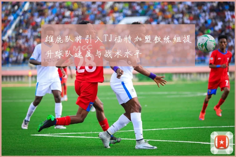 雄鹿队将引入TJ福特加盟教练组提升球队速度与战术水平