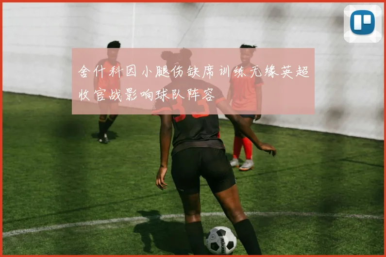 舍什科因小腿伤缺席训练无缘英超收官战影响球队阵容
